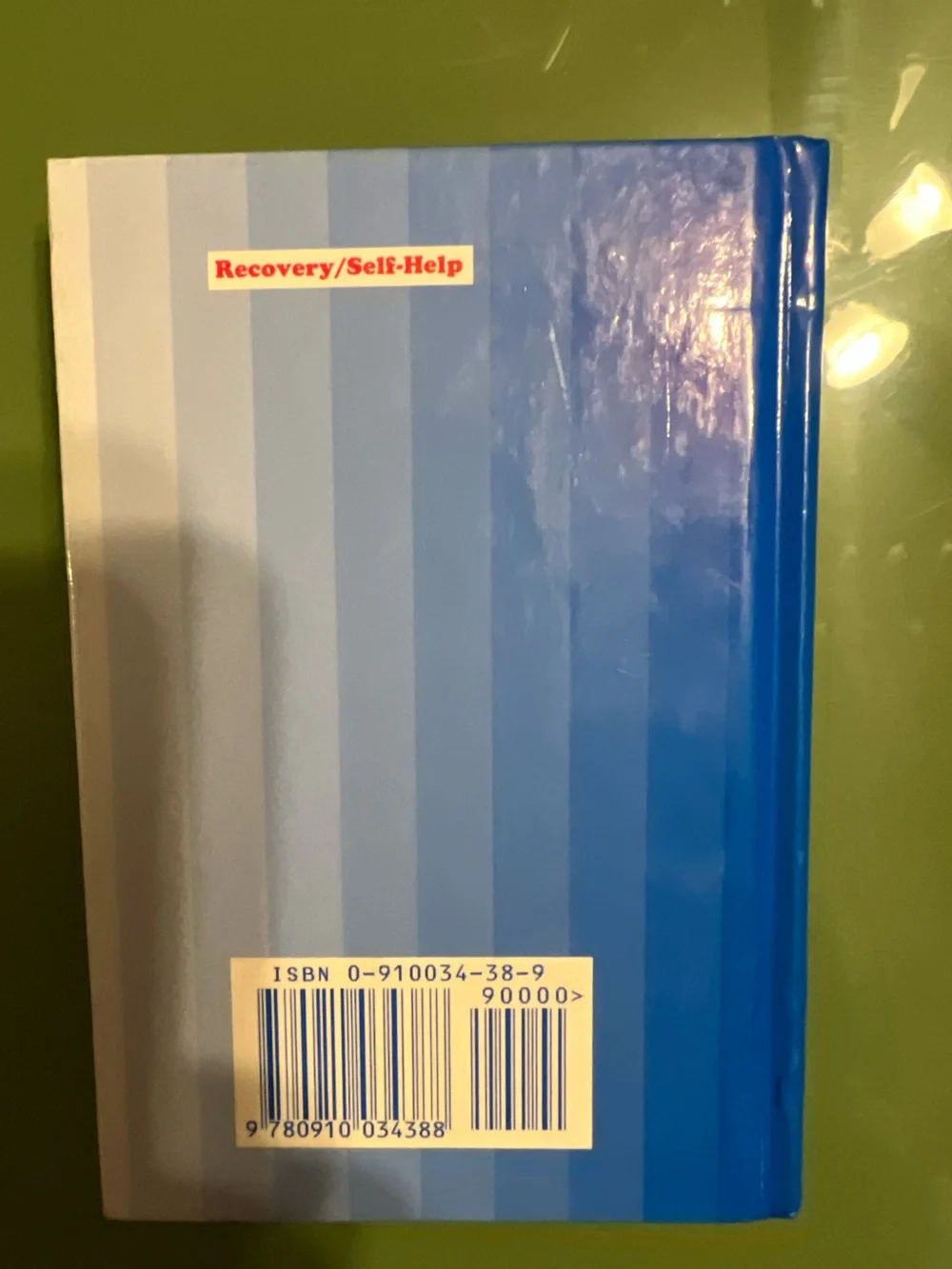 Living Today in Alateen Book - Blue/Red